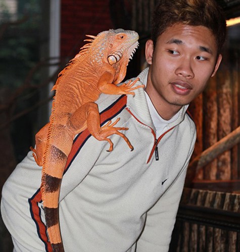 Giải m&atilde; giấc mơ thấy động vật